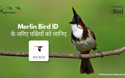 New Hindi Tutorial: Identify Birds Easily with the Merlin Bird ID App!