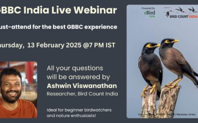 Get Ready for GBBC 2025: Live Q&A Session with Bird Count India Team