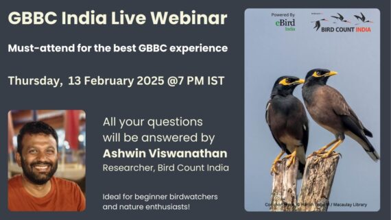 Poster that talks about a live webinar for GBBC 2025 with Bird Count India Team