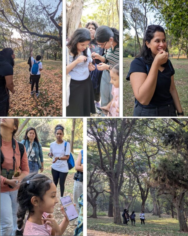 Participants participating in Sensory Exploration Activity and learning about Merlin Bird Id App