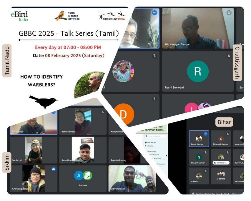 A collage showing various virtual GBBC 2025 preparation sessions held across different states, including Tamil Nadu, Chhattisgarh, Bihar, and Sikkim. The central panel highlights a talk series on "How to Identify Warblers?" in Tamil.