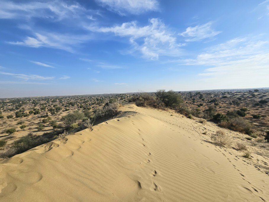 Arid desert landscape with sandy dunes, sparse vegetation, and a bright blue sky with scattered clouds.