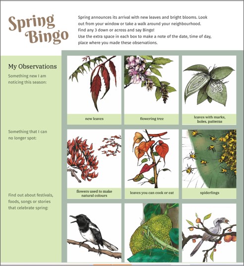 A colourful Spring Bingo Activity sheet designed by Nature Classrooms Project at NCF