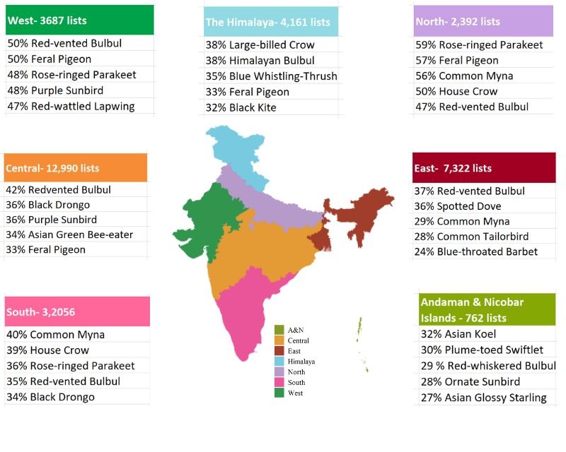 A map of India divided into seven regions, each listing the top five most commonly reported bird species in eBird during GBBC 2025. The regions include the Himalaya, North, Central, South, East, West, and the Andaman & Nicobar Islands, with species percentages based on frequency of reporting.