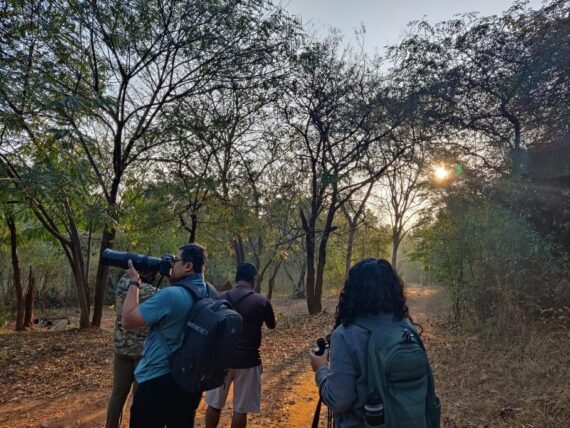 A group of birdwatchers exploring a forest trail in the early morning, with one person using a camera with a telephoto lens and another holding binoculars.