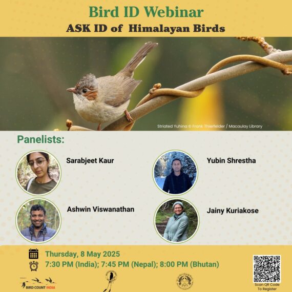 A poster for a "Bird ID Webinar: ASK ID of Himalayan Birds" featuring an image of a Striated Yuhina bird perched on a twisted branch. Panelists include Sarabjeet Kaur, Yubin Shrestha, Ashwin Viswanathan, and Jainy Kuriakose, with their photos displayed in circular frames. The webinar is scheduled for Thursday, 8 May 2025, at 7:30 PM (India), 7:45 PM (Nepal), and 8:00 PM (Bhutan). Logos of Bird Count India and partner organizations are included at the bottom, along with a QR code to register.