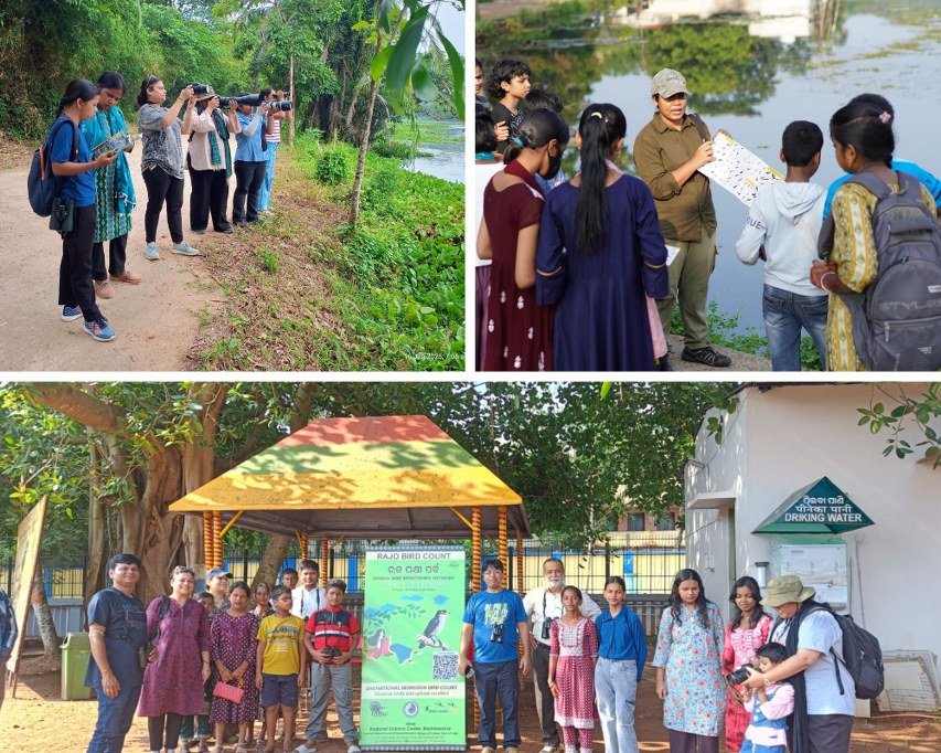 Collage of three photos showing people participating in birdwatching and awareness activities as part of the Rajo Bird Count in Odisha. The images feature groups of women, children, and community members observing birds, attending an outdoor talk near a waterbody, and posing near an informational kiosk with a banner.