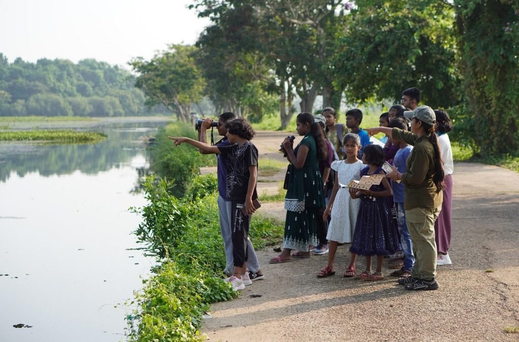 Rajo Bird Count 2025— Preliminary Results
