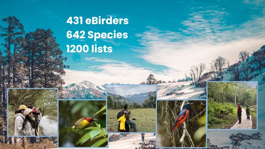 Collage of birders and birds in Himalayan landscapes with text highlighting 431 eBirders, 642 species, and 1200 lists submitted during Himalayan Bird Count 2025.